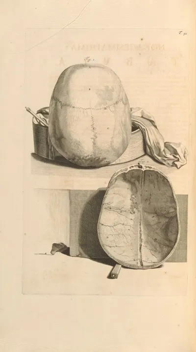 Anatomia Humani Corporis Pl 092