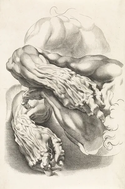 Anatomical Studies Of Arms 3