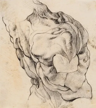Anatomical Study Ecorche Torso Of A Flayed Man Seen From The Back Half Turned To The Right