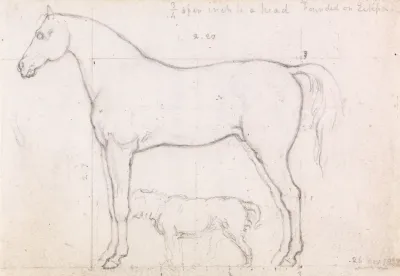 Anatomical Study Of A Horse Founded On Eclipse Nov 26 1832
