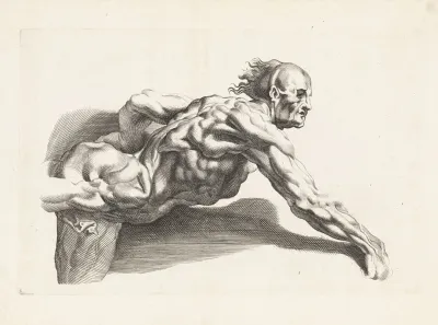 Anatomical Study Of A Man Leaning Forward
