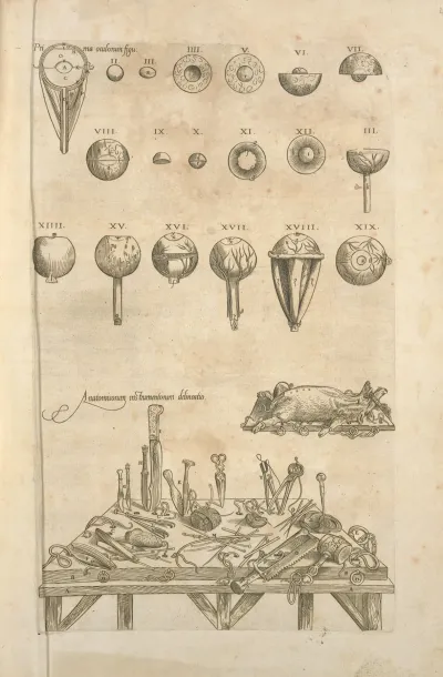 Anatomicorum Instrumentorum Delineatio Various Medical Apparatuses