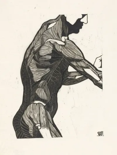 Anatomische Studie Van De Zij En Armspieren Van Een Man