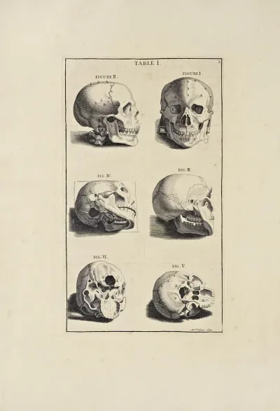 Anatomy Improvd And Illustrated With Regard To The Uses Thereof In Designing Pl 01