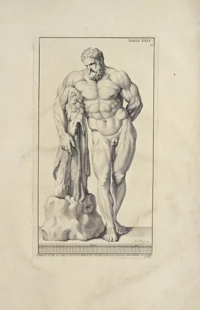 Anatomy Improvd And Illustrated With Regard To The Uses Thereof In Designing Pl 24