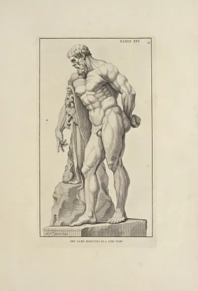 Anatomy Improvd And Illustrated With Regard To The Uses Thereof In Designing Pl 25