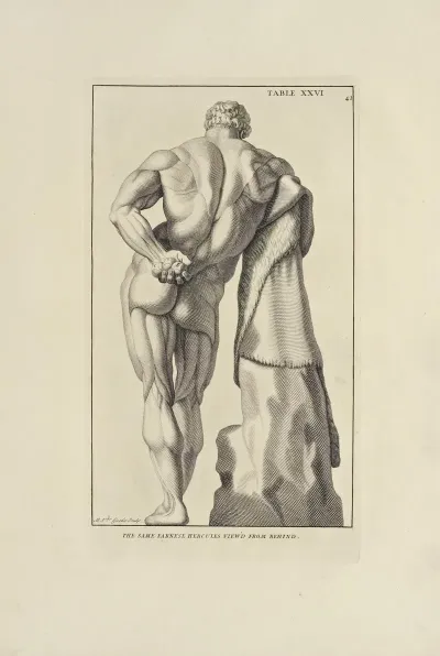 Anatomy Improvd And Illustrated With Regard To The Uses Thereof In Designing Pl 26