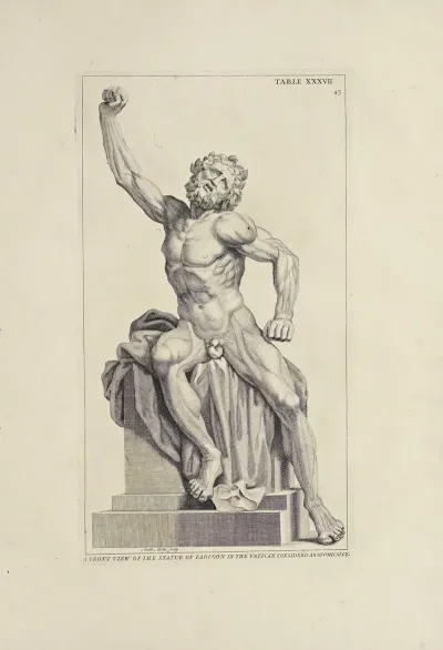 Anatomy Improvd And Illustrated With Regard To The Uses Thereof In Designing Pl 27