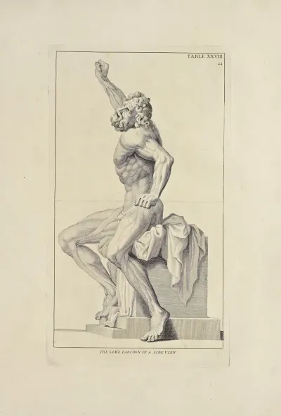 Anatomy Improvd And Illustrated With Regard To The Uses Thereof In Designing Pl 28