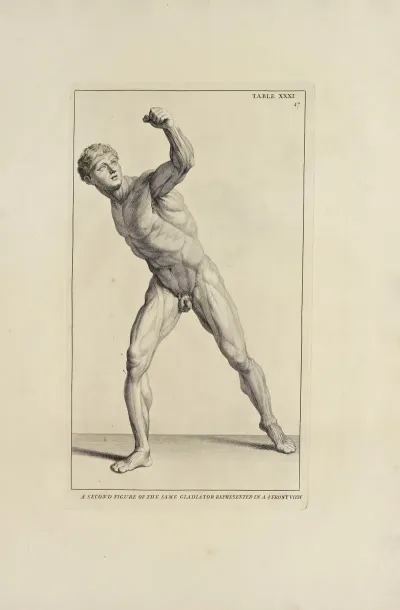 Anatomy Improvd And Illustrated With Regard To The Uses Thereof In Designing Pl 31