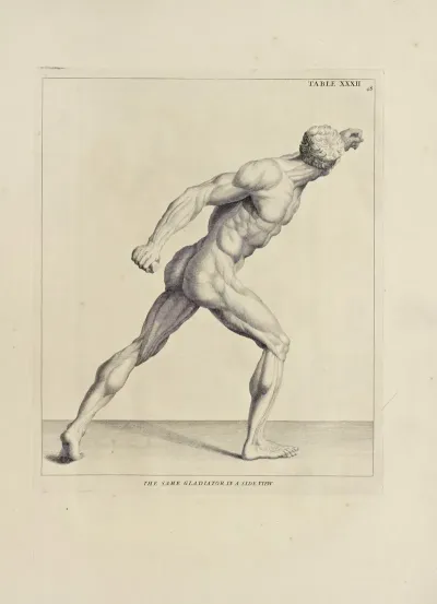Anatomy Improvd And Illustrated With Regard To The Uses Thereof In Designing Pl 32