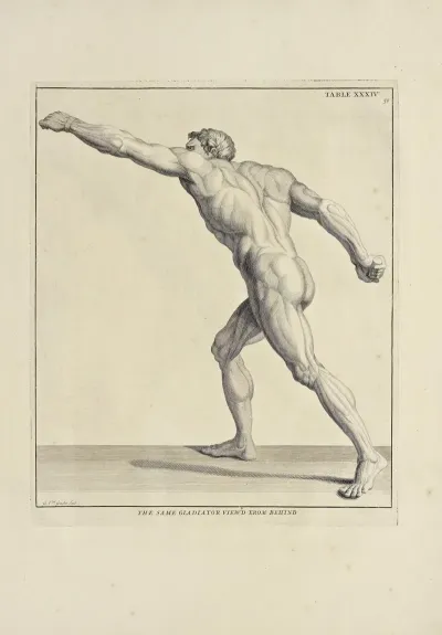 Anatomy Improvd And Illustrated With Regard To The Uses Thereof In Designing Pl 34