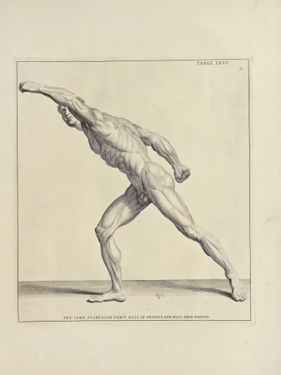 Anatomy Improvd And Illustrated With Regard To The Uses Thereof In Designing Pl 35