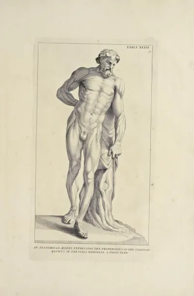Anatomy Improvd And Illustrated With Regard To The Uses Thereof In Designing Pl 36