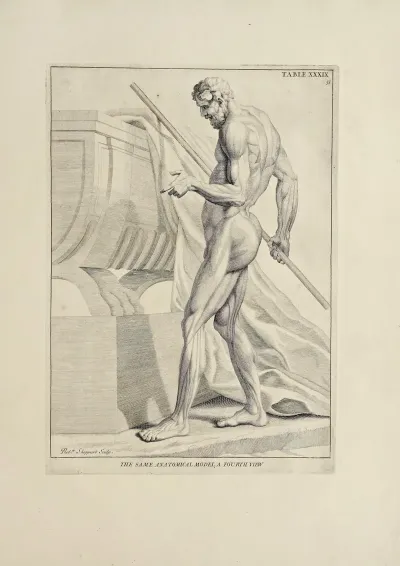 Anatomy Improvd And Illustrated With Regard To The Uses Thereof In Designing Pl 39