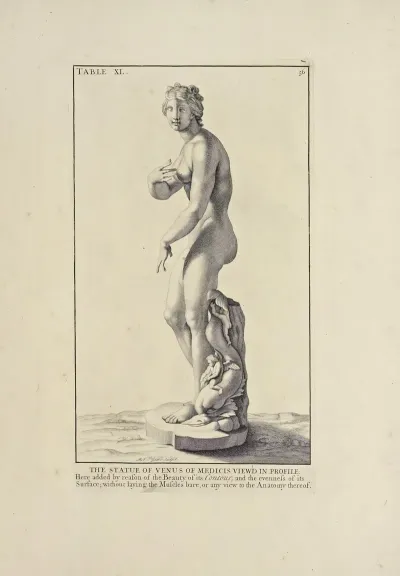 Anatomy Improvd And Illustrated With Regard To The Uses Thereof In Designing Pl 40
