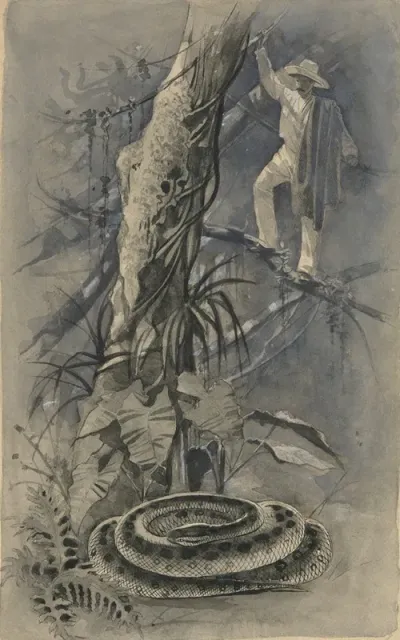 And Then I Saw Him Coiled All In A Heap The Capture Of A Great Serpent In St Nicholas