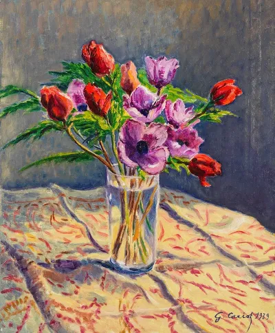 Anemones Dans Un Verre