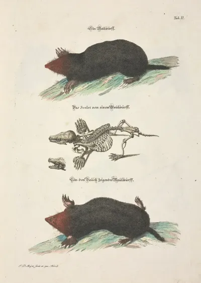 Angenehmer Und Nutzlicher Zeit Vertreib Pl 002