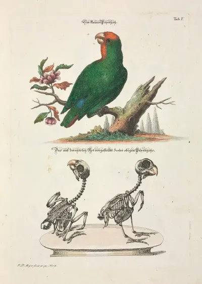 Angenehmer Und Nutzlicher Zeit Vertreib Pl 005