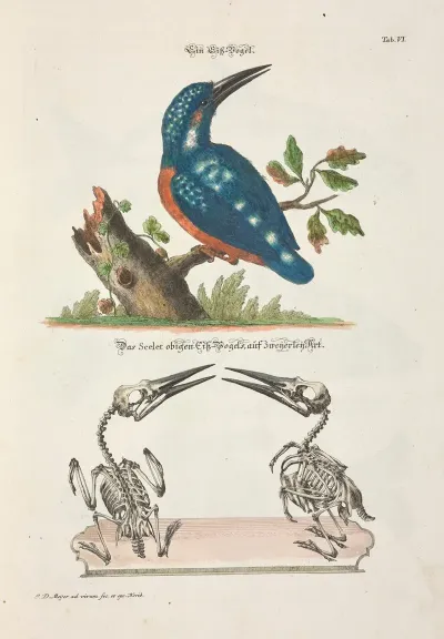 Angenehmer Und Nutzlicher Zeit Vertreib Pl 006
