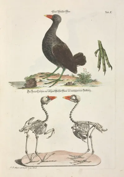 Angenehmer Und Nutzlicher Zeit Vertreib Pl 010