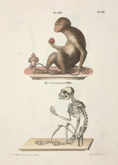 Angenehmer Und Nutzlicher Zeit Vertreib Pl 013