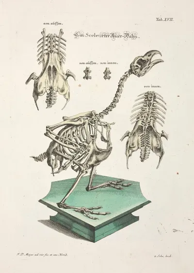 Angenehmer Und Nutzlicher Zeit Vertreib Pl 017