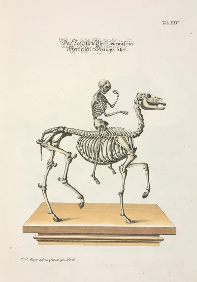 Angenehmer Und Nutzlicher Zeit Vertreib Pl 025