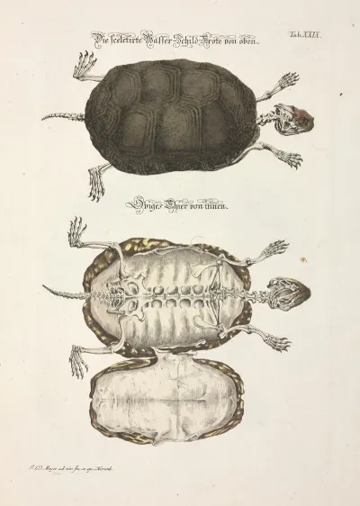 Angenehmer Und Nutzlicher Zeit Vertreib Pl 029