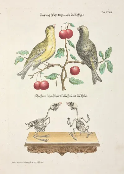 Angenehmer Und Nutzlicher Zeit Vertreib Pl 032