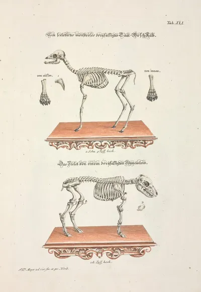 Angenehmer Und Nutzlicher Zeit Vertreib Pl 041