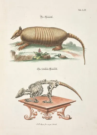 Angenehmer Und Nutzlicher Zeit Vertreib Pl 059