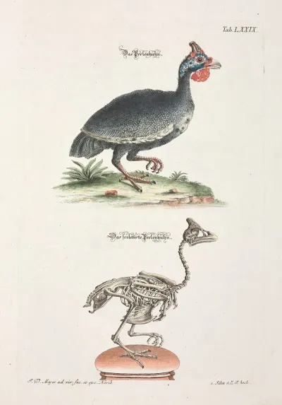 Angenehmer Und Nutzlicher Zeit Vertreib Pl 079