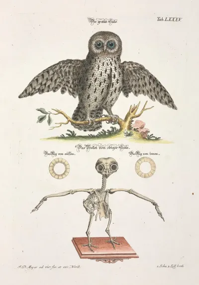 Angenehmer Und Nutzlicher Zeit Vertreib Pl 085