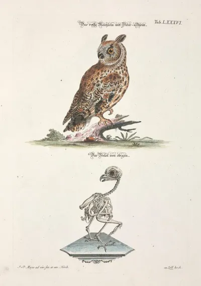 Angenehmer Und Nutzlicher Zeit Vertreib Pl 086