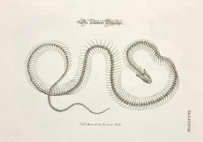 Angenehmer Und Nutzlicher Zeit Vertreib Pl 088