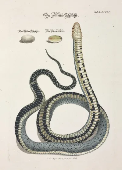 Angenehmer Und Nutzlicher Zeit Vertreib Pl 089