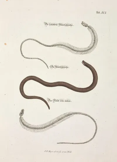 Angenehmer Und Nutzlicher Zeit Vertreib Pl 091