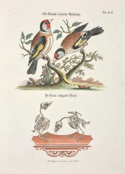 Angenehmer Und Nutzlicher Zeit Vertreib Pl 092