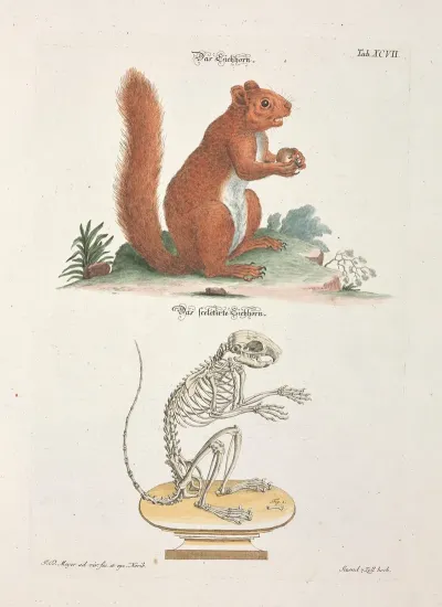Angenehmer Und Nutzlicher Zeit Vertreib Pl 097
