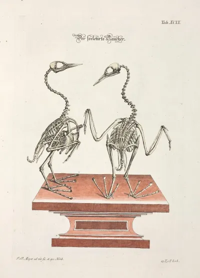 Angenehmer Und Nutzlicher Zeit Vertreib Pl 099
