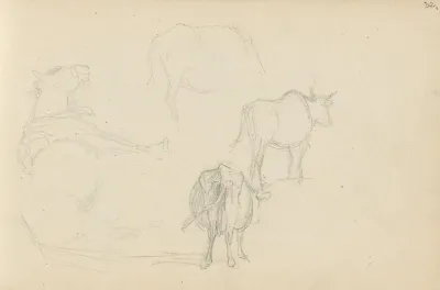 Animal Studies 2
