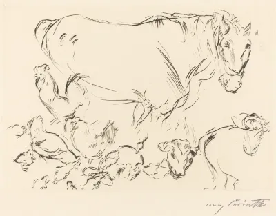 Animal Studies Verschiedene Tierstudien 2