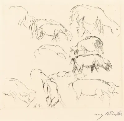Animal Studies Verschiedene Tierstudien 3