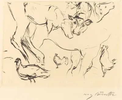 Animal Studies Verschiedene Tierstudien