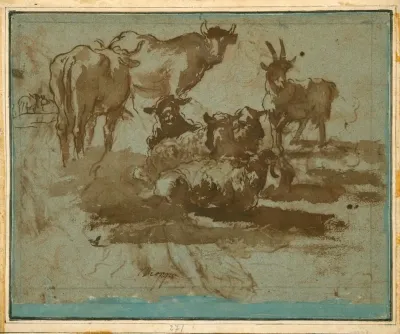 Animal Studies