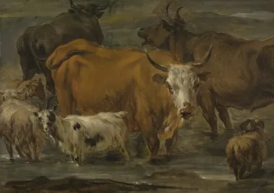Animal Study