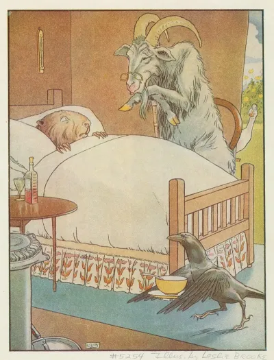 Animals As Humans