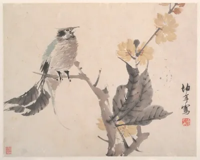 Animals Flowers And Birds Pl 4